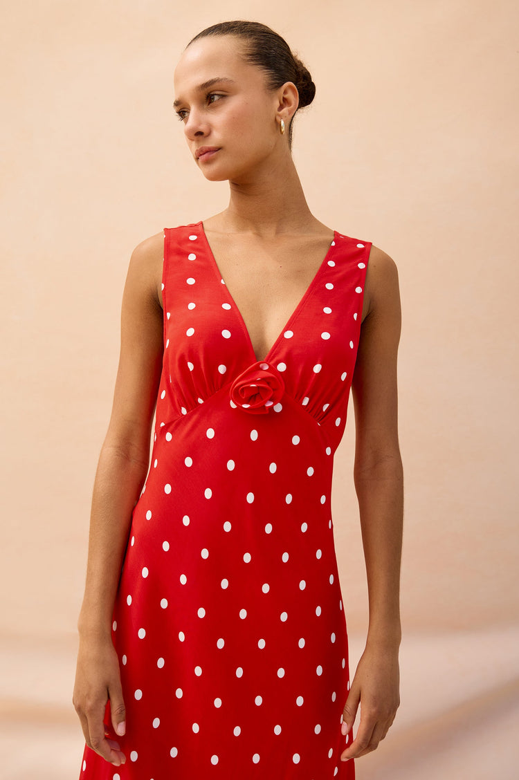 TERENA DRESS
