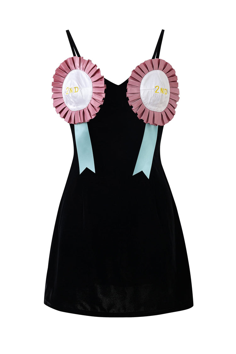 2ND PLACE DRESS